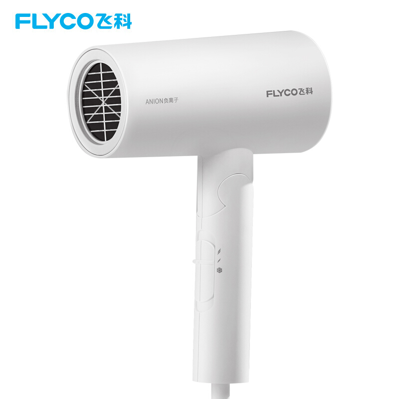 飞科FLYCO电吹风FH6276